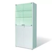 Шкаф медицинский металлический ШМ-02 МСК-647.02 дверцы стекло/металл